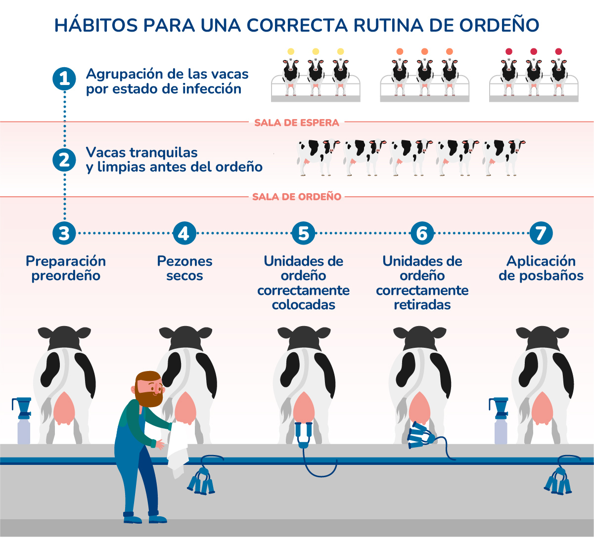 rutina de ordeño