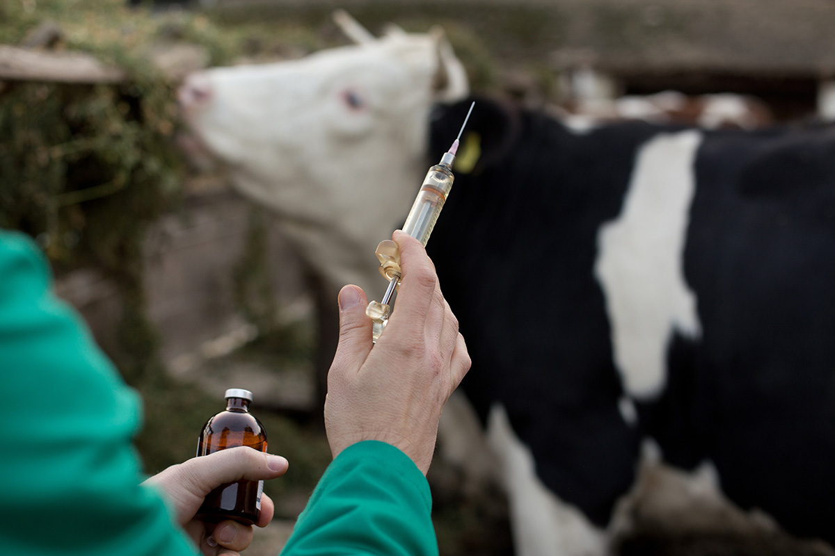 Uso de AINEs en el tratamiento de las mastitis